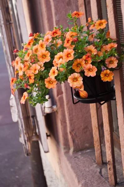 Decorative flowers house facade in colmar — Stock Photo, Image