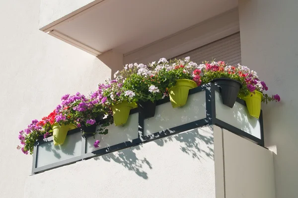 Verkauf von Balkon mit Blumen — Stockfoto