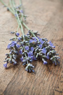 Lavanta buket ahşap arka plan üzerinde