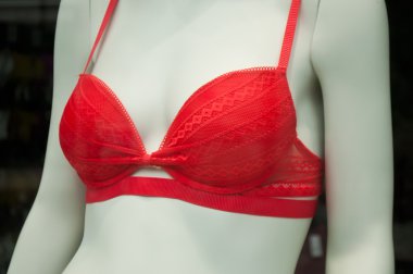 bir kadın moda kırmızı iç çamaşırı manken closeup depolamak