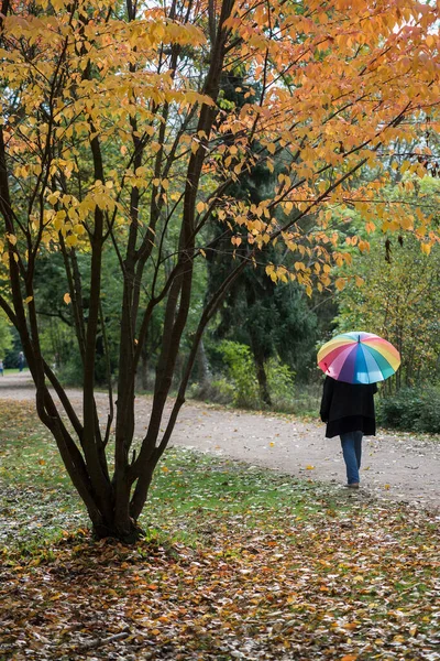 Портрет Изображением Женщины Идущей Радужным Зонтиком Осеннем Городском Парке — стоковое фото