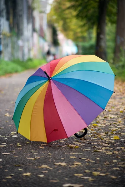 Blick Auf Regenschirm Auf Dem Boden Stadtpark Herbst — Stockfoto