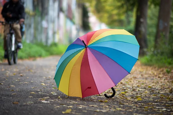 Vue Parapluie Arc Ciel Sur Sol Parc Urbain Automne — Photo