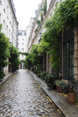 Paris 'te yeşil bitki örtüsü olan tipik kaldırım taşı sokağı manzarası
