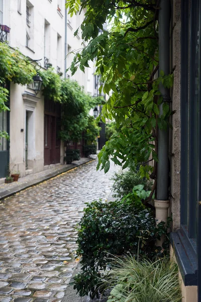 Vue Sur Une Ruelle Pavée Typique Avec Végétation Verte Paris — Photo