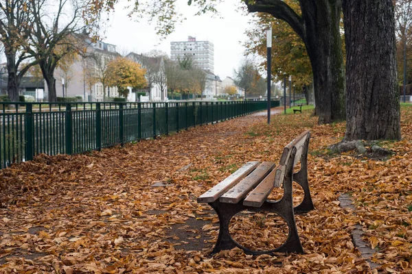 Крупный План Деревянной Скамейки Городском Парке Покрытой Осенними Листьями Полу — стоковое фото