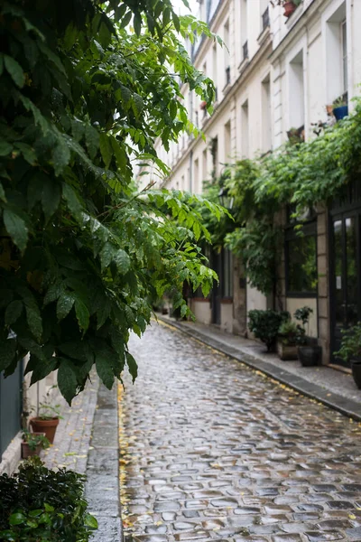 Vue Sur Une Ruelle Pavée Typique Paris — Photo