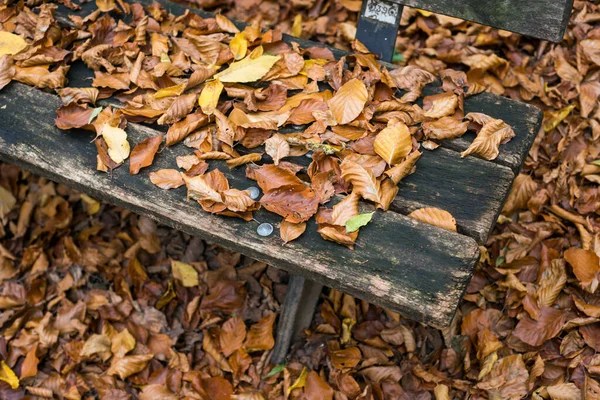 Nahaufnahme Einer Mit Laub Bedeckten Holzbank Herbstlichen Wald — Stockfoto
