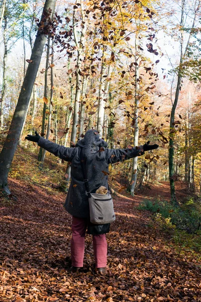 Portrét Zadní Pohled Ženy Hrající Podzimními Listy Lese — Stock fotografie