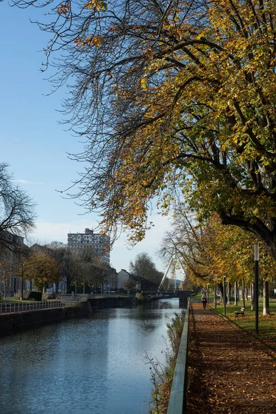 Mulhouse Frankrijk November 2020 Uitzicht Kastanjebomen Grensrivier — Stockfoto