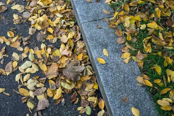 Closeup of autumnal leaves in the floor in the street