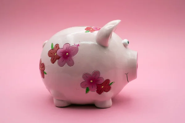 Closeup Pink Flowers Piggy Bank Profile View Pink Background — Stock Photo, Image