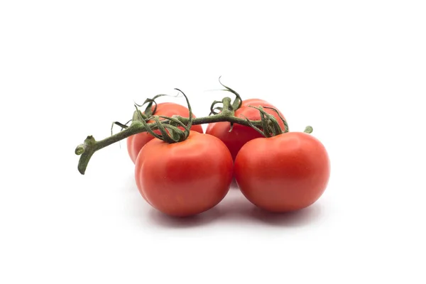Nahaufnahme Von Frischen Tomaten Auf Zweig Auf Weißem Hintergrund — Stockfoto