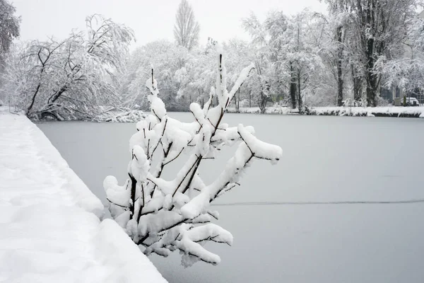 Widok Drzew Sylwetki Granicy Zamarzniętej Rzeki Podczas Śnieżnego Dnia — Zdjęcie stockowe