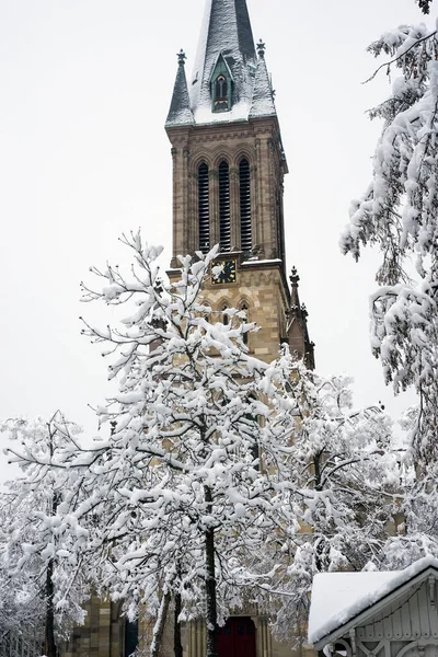 view of trees and alsatian church covered by the snow