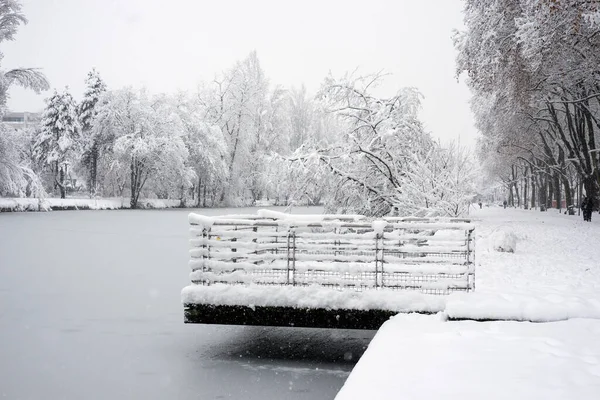Widok Drzew Sylwetki Pokryte Śniegiem Granicy Zamarzniętej Rzeki Podczas Śnieżnego — Zdjęcie stockowe