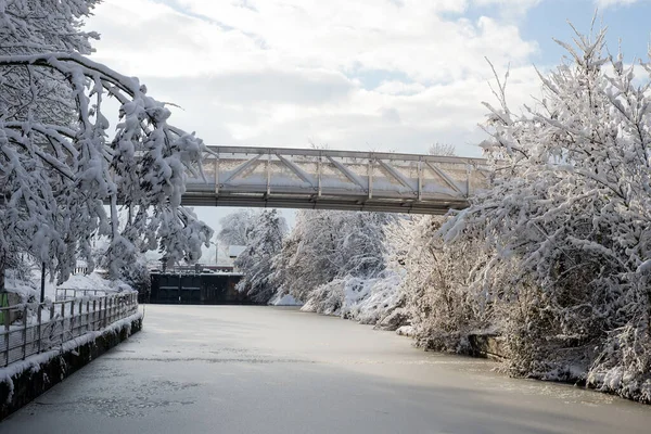 Widok Drzew Sylwetki Most Pokryte Śniegiem Granicy Zamarzniętej Rzeki Słoneczny — Zdjęcie stockowe