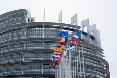 Strasbourg - Fransa - 19 Ocak 2021 - Avrupa bayraklarıyla ünlü Avrupa parlamentosunun ön görüşü