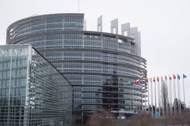 Strasbourg - Fransa - 19 Ocak 2021 - Avrupa bayraklarıyla ünlü Avrupa parlamentosunun ön görüşü