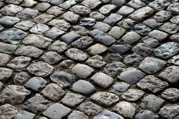 Primer Plano Adoquines Antiguos Suelo Calle — Foto de Stock