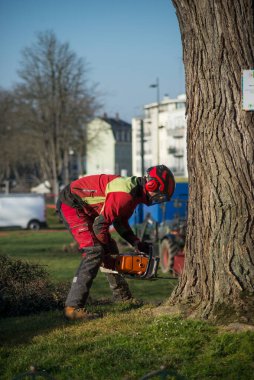 Mulhouse - Fransa - 2 Mart 2021 - Kasık bahçesinde büyük bir ağaç kesen adamın portresi 