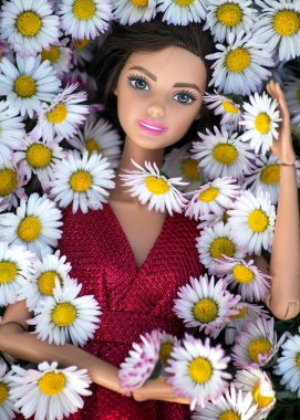 Mulhouse - Fransa - 20 Mart 2021 Papatya çiçeklerinde yatan esmer Barbie bebeğin portresi 