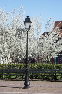 Arka planda kiraz çiçekleri olan halka açık bir bahçede retro sokak lambasına yakın çekim