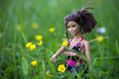 Mulhouse - Fransa - 31 Mayıs 2021 - Siyah bir yaz elbisesi giyen esmer Barbie bebek portresi çayır çiçekleri topluyor 