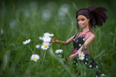 Mulhouse - Fransa - 31 Mayıs 2021 - Siyah bir yaz elbisesi giyen esmer Barbie bebek portresi çayır çiçekleri topluyor 