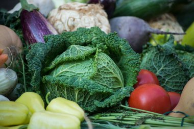 taze organik sebze çeşitler piyasada closeup