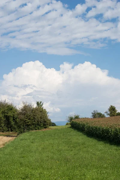 Arkaplanda Bulutlu Gökyüzü Olan Kırsal Manzara Görüntüsü — Stok fotoğraf