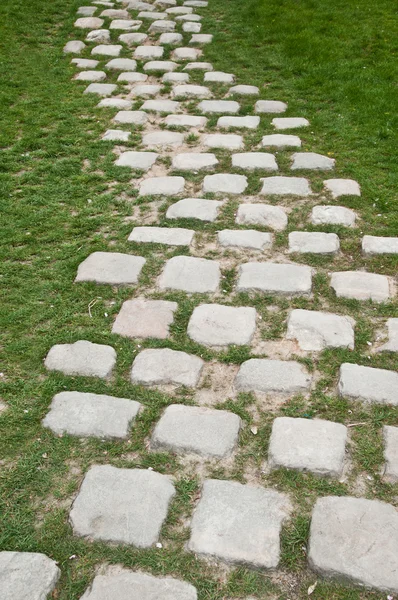 Pavement in garden — Stock Photo, Image