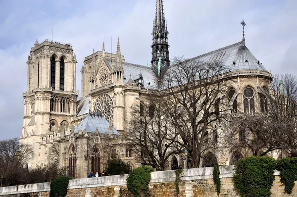 Notre-Dame of Paris cathedral — Stock Photo, Image