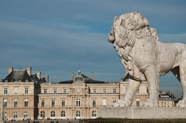 Luxembourg Gardens i Paris, Frankrig - Stock-foto