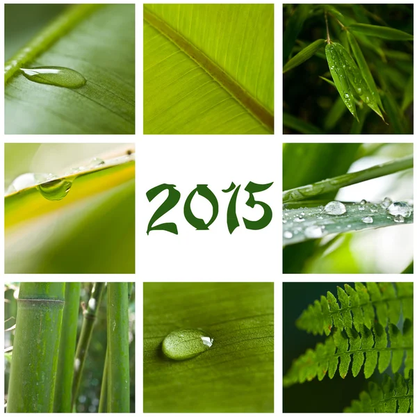 Nature zen collage 2015 — Stock Photo, Image