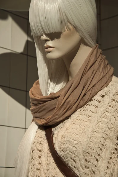 Maniquí de moda de invierno en una sala de exposición —  Fotos de Stock