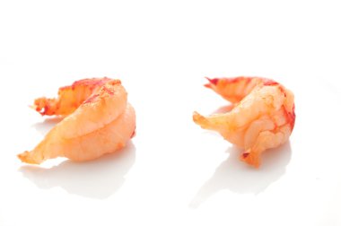 Beyaz arkaplanda karides