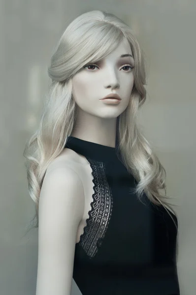 Manken Kış moda bir showroom