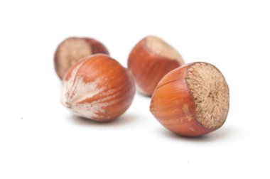 Beyaz arkaplanda fındık