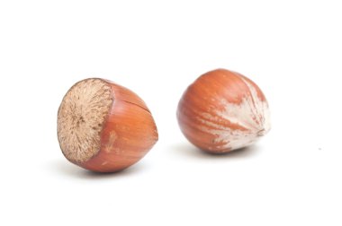 Beyaz arkaplanda fındık