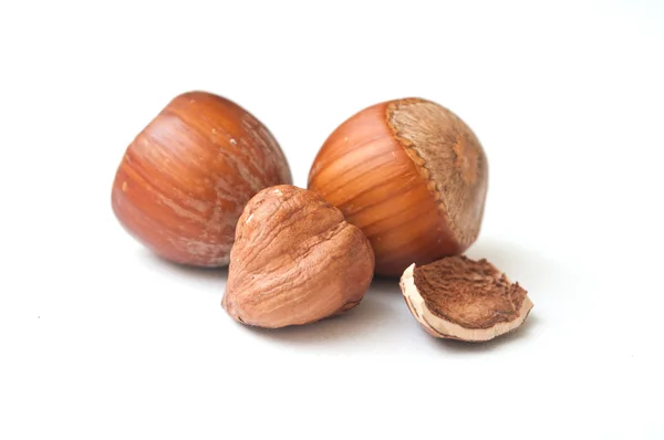 Ořechy záběr na bílém pozadí — Stock fotografie
