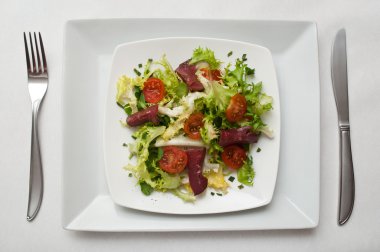 ördek göğsü salatası ile