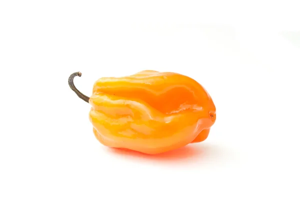 Jamaican peppers in white background — Stock Photo, Image