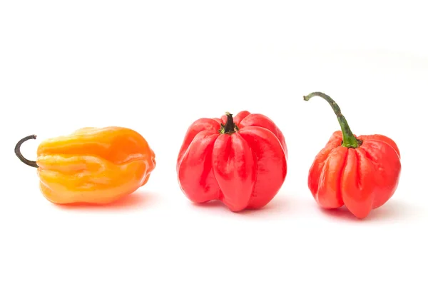 Jamaican peppers in white background — Stock Photo, Image