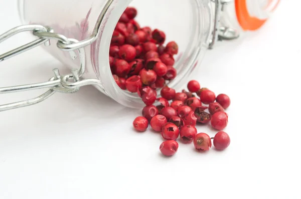Rode peppercorn aroma kruiderij close-up — Stockfoto