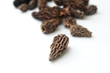 beyaz zemin üzerine kurutulmuş morels grubu