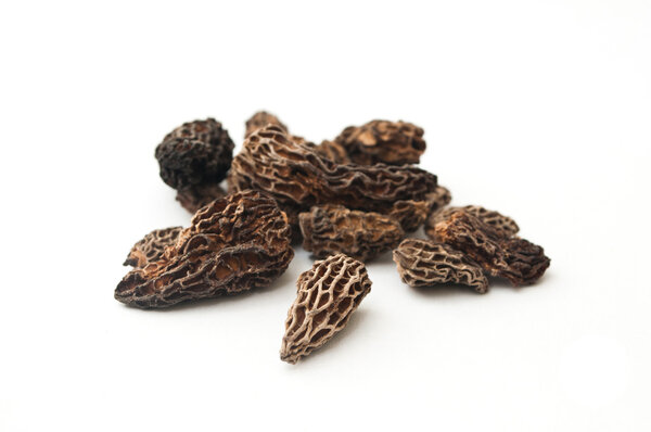 Group of morels dried on the white background