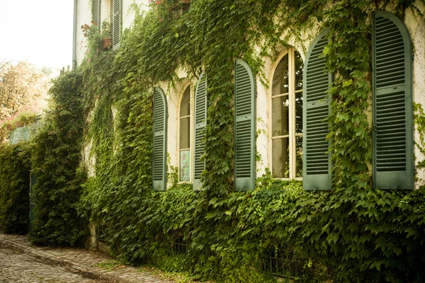 Old house with ivy on the wall — Stock Photo, Image