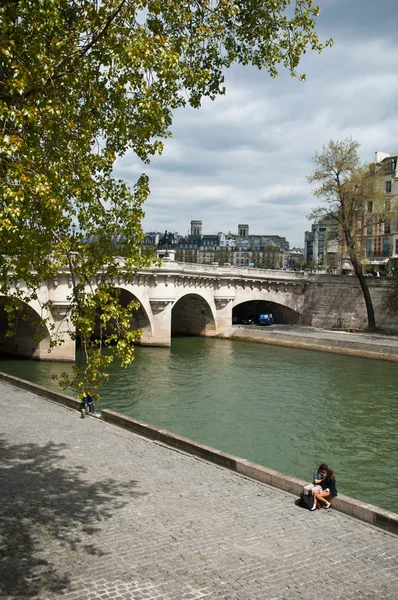 Most w Paryżu (pont neuf) — Zdjęcie stockowe