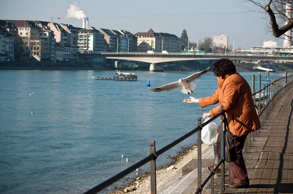 Femme avec mouette en face du Rhin à Bâle en Suisse — Photo